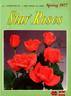 First Edition rose photo