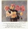 Lady Ashtown rose photo
