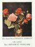 Crimson Emblem rose photo