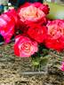 Elizabeth Taylor rose photo