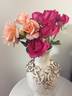 Candy Flo rose photo