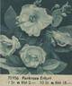Erfurt rose photo