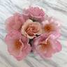 Couture Rose Tilia rose photo