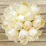 Ivory Yves Piaget rose photo