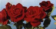 Allotria rose photo