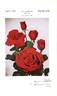 San Francisco rose photo