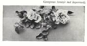 Gorgeous rose photo