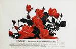 Vogue rose photo