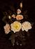 Peach Delight ™ rose photo