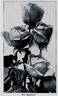 Red Radiance rose photo