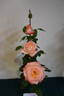 Joyfulness rose photo
