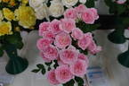 Delicious rose photo