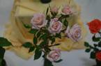 Minnie Pearl ™ rose photo