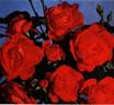 Ami des Jardins rose photo