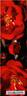 Diablotin ® rose photo