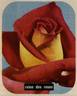 Reine des Roses rose photo