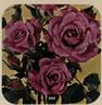Azur rose photo