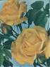 Lune de Miel rose photo