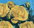 Allgold ® rose photo