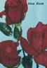 Viva Rose rose photo