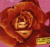 Soyouz rose photo
