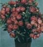 Margo Koster rose photo