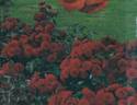 Europeana rose photo