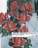 Grimpant Super Star rose photo