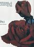 Messire Delbard rose photo