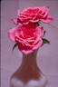 Dainty Bouquet ™ rose photo
