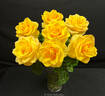 Aloha ® rose photo
