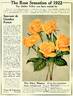 Souvenir de Claudius Pernet rose photo