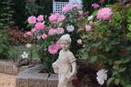 Brilliant Star rose photo