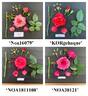 KORgehaque rose photo