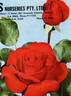 Arturo Toscanini rose photo