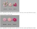 ZLEpolthree rose photo