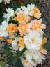 Flame Origami rose photo
