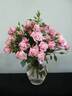 Minnie Pearl ™ rose photo