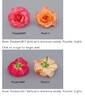 POUlrim rose photo