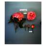 Poulen009 rose photo