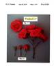 Poulac011 rose photo