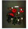 Poulac004 rose photo