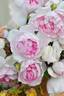 Shalimar rose photo