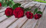 Grand Award rose photo