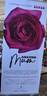 Amazing Mum rose photo