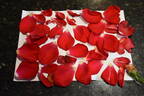 Pharaoh rose photo
