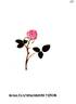 Dijon Pompon rose photo