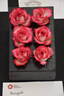 Renegade rose photo