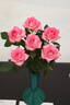Joy rose photo