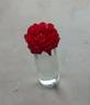 Liberty Bell rose photo